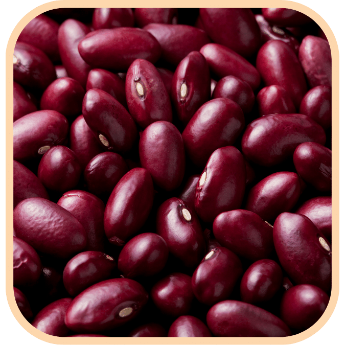 (image for) Red Kidney Beans - Small